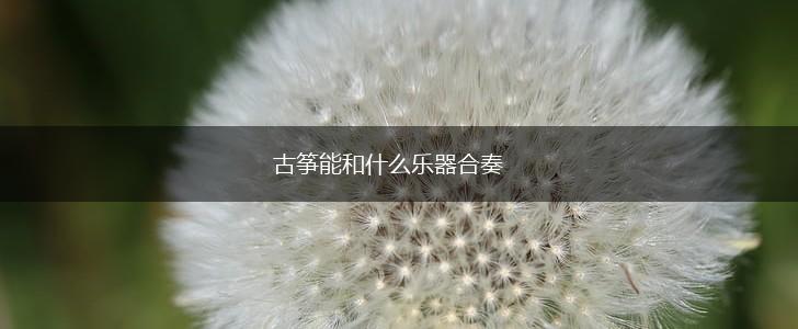 古筝能和什么乐器合奏,第1张