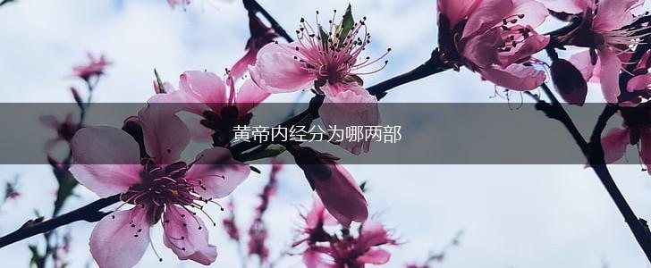 黄帝内经分为哪两部,第1张