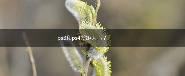 ps3和ps4差距大吗？,第1张