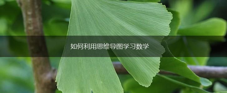 如何利用思维导图学习数学,第1张