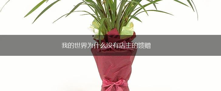 我的世界为什么没有店主的馈赠,第1张 我的世界为什么没有店主的馈赠,第1张