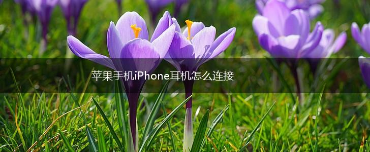 苹果手机iPhone耳机怎么连接,第1张
