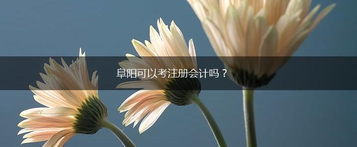 阜阳可以考注册会计吗？,第1张