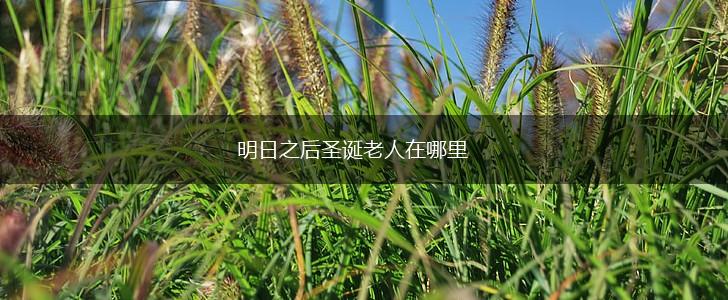 明日之后圣诞老人在哪里,第1张