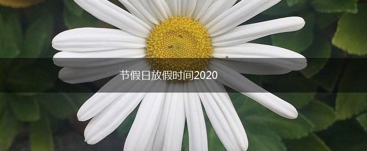 节假日放假时间2020,第1张
