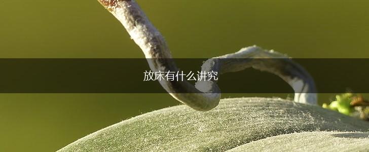 放床有什么讲究,第1张