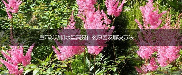 重汽发动机水温高是什么原因及解决方法,第1张