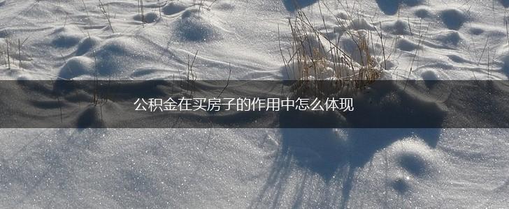 公积金在买房子的作用中怎么体现,第1张