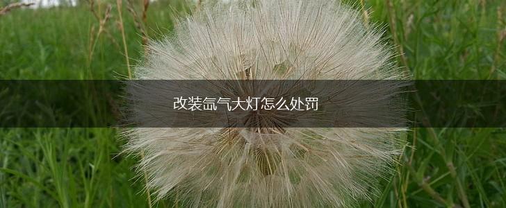 改装氙气大灯怎么处罚,第1张
