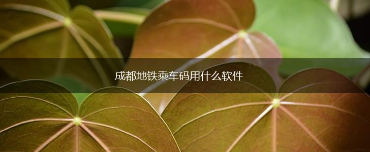 成都地铁乘车码用什么软件,第1张