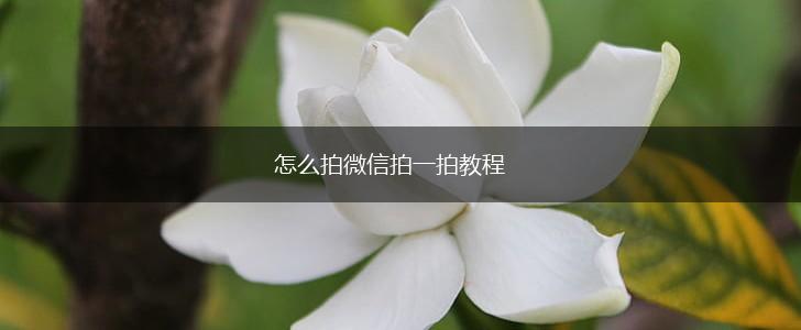 怎么拍微信拍一拍教程,第1张