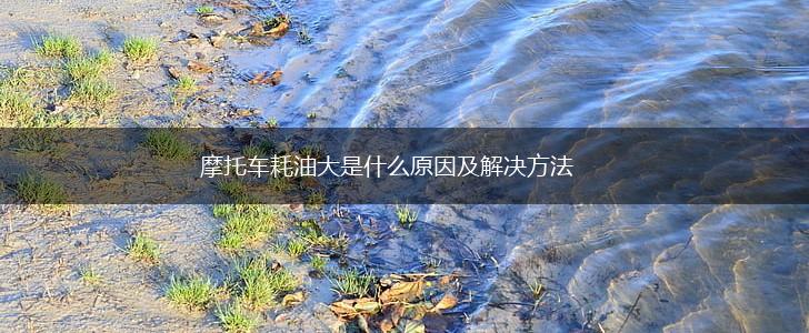 摩托车耗油大是什么原因及解决方法,第1张