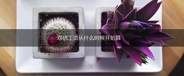 双倍工资从什么时候开始算,第1张