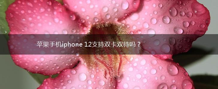 苹果手机iphone 12支持双卡双待吗？,第1张