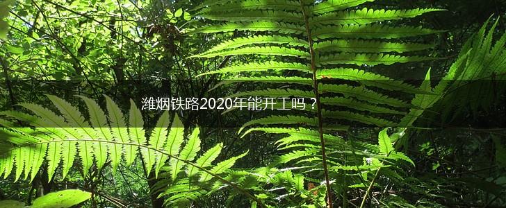 潍烟铁路2020年能开工吗？,第1张
