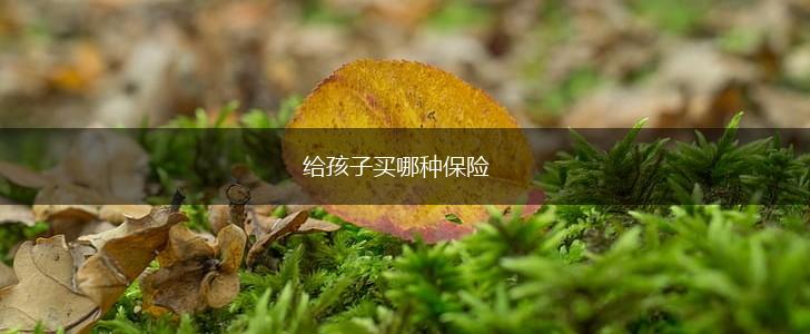 给孩子买哪种保险,第1张