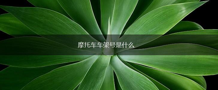 摩托车车架号是什么,第1张