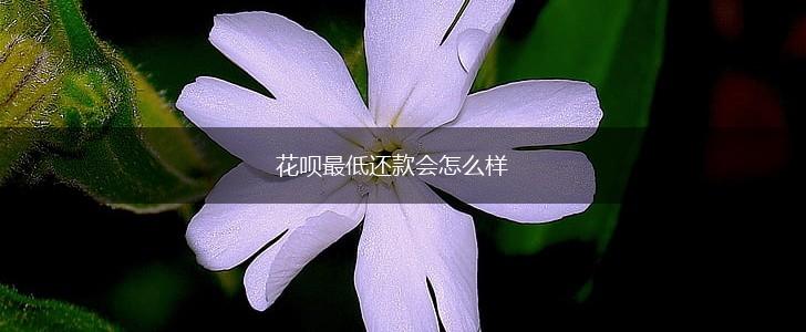 花呗最低还款会怎么样,第1张