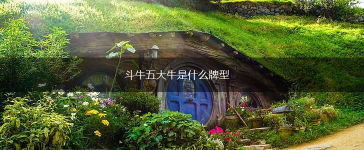 斗牛五大牛是什么牌型,第1张