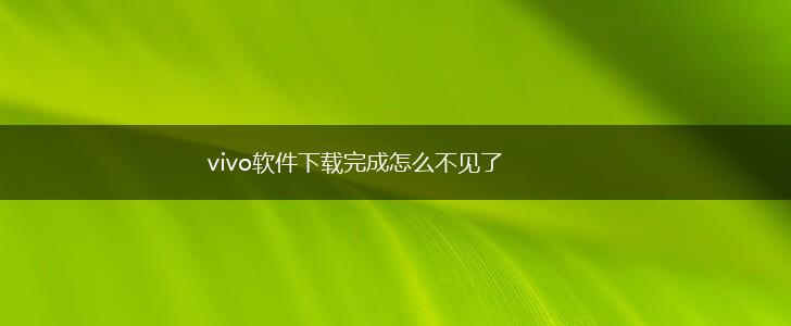 vivo软件下载完成怎么不见了,第1张