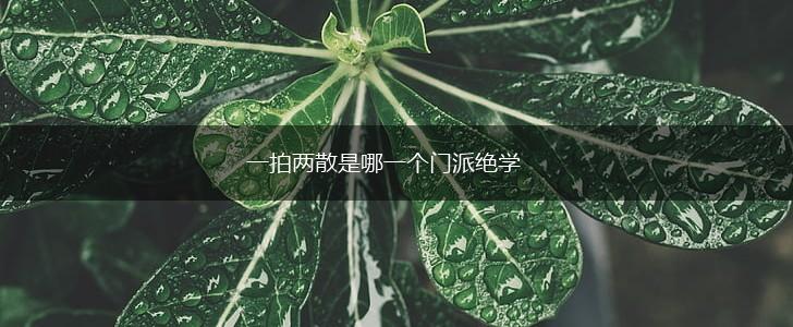 一拍两散是哪一个门派绝学,第1张