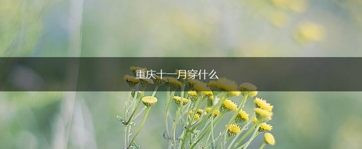 重庆十一月穿什么,第1张