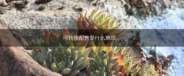 可转债配售是什么意思,第1张