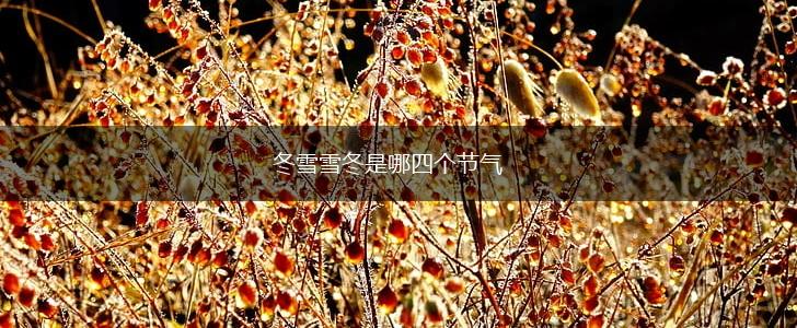 冬雪雪冬是哪四个节气,第1张