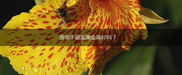 翡翠手链加黄金珠好吗？,第1张