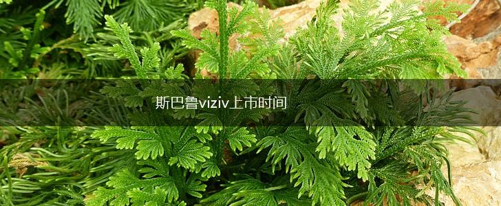 斯巴鲁viziv上市时间,第1张