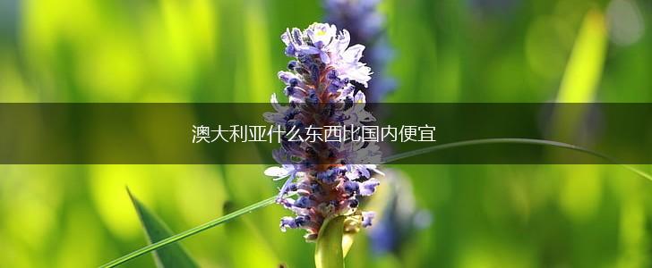 澳大利亚什么东西比国内便宜,第1张 澳大利亚什么东西比国内便宜,第1张