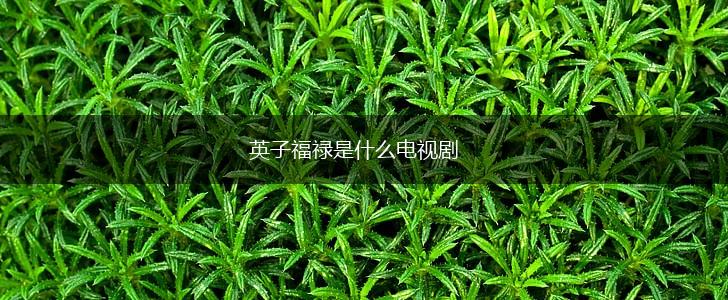 英子福禄是什么电视剧,第1张