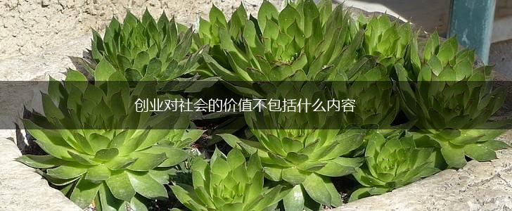 创业对社会的价值不包括什么内容,第1张