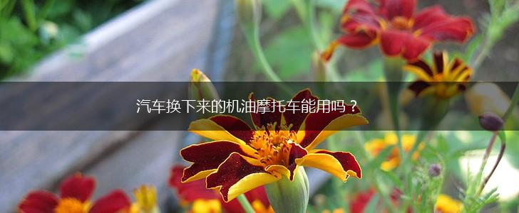 汽车换下来的机油摩托车能用吗？,第1张