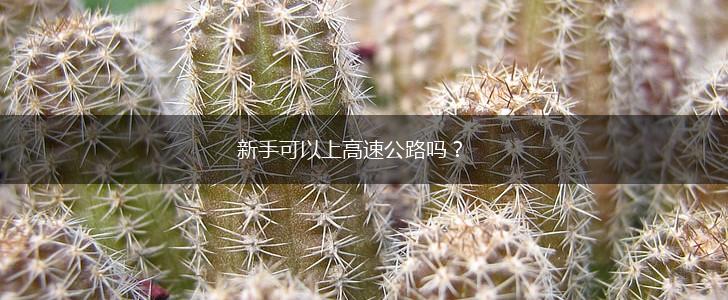 新手可以上高速公路吗？,第1张