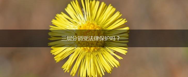 三层分销受法律保护吗？,第1张