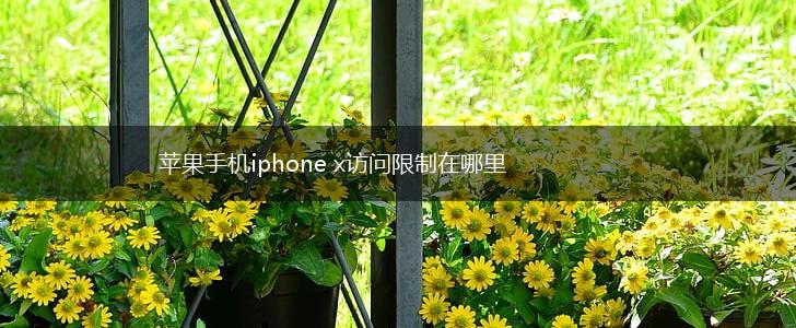 苹果手机iphone x访问限制在哪里,第1张
