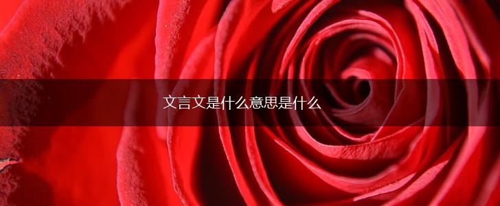 文言文是什么意思是什么,第1张
