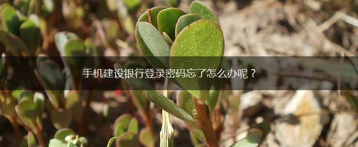 手机建设银行登录密码忘了怎么办呢？,第1张
