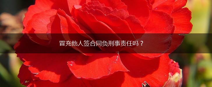 冒充他人签合同负刑事责任吗？,第1张