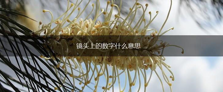 镜头上的数字什么意思,第1张