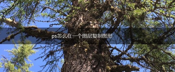 ps怎么在一个图层复制图形,第1张