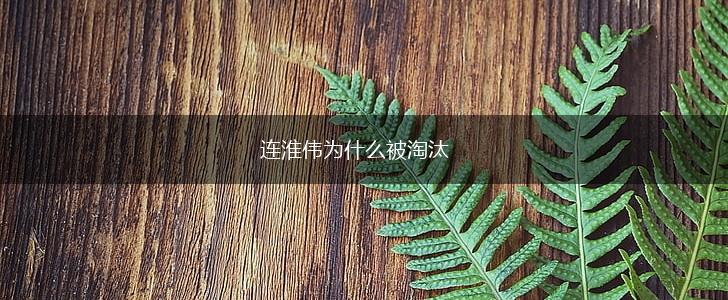 连淮伟为什么被淘汰,第1张