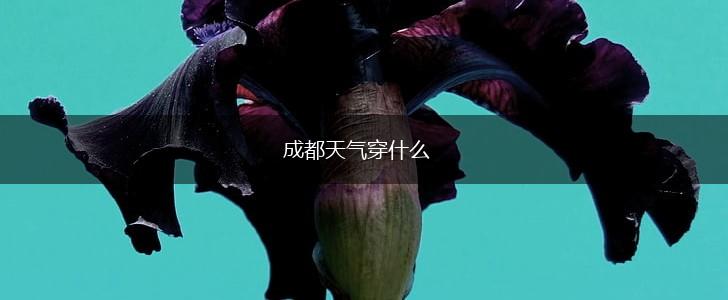 成都天气穿什么,第1张