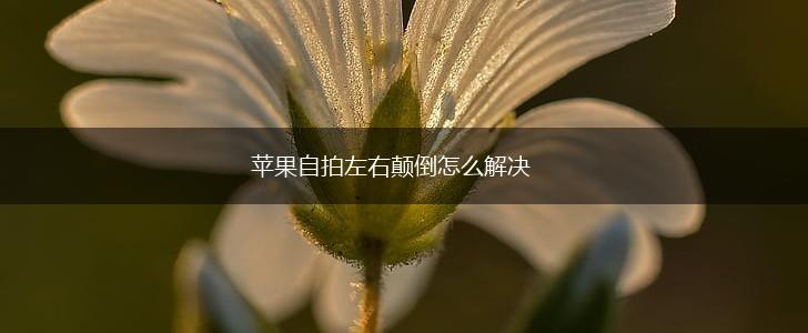 苹果自拍左右颠倒怎么解决,第1张