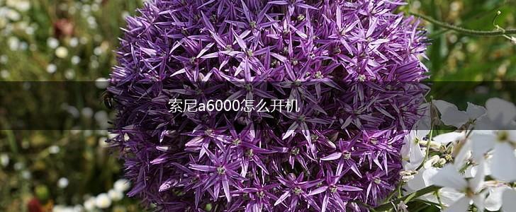 索尼a6000怎么开机,第1张