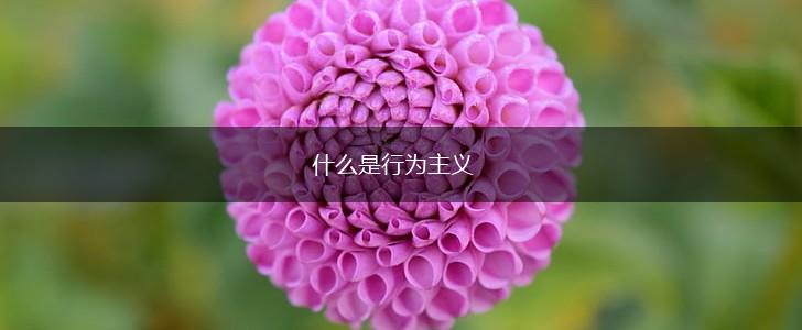什么是行为主义,第1张