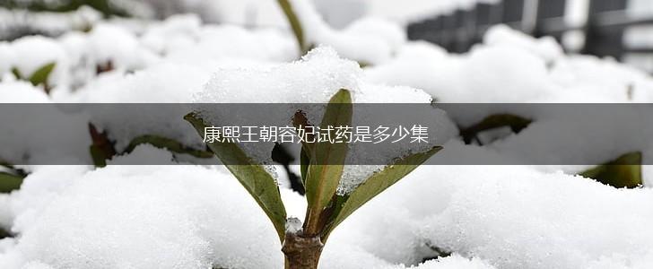 康熙王朝容妃试药是多少集,第1张