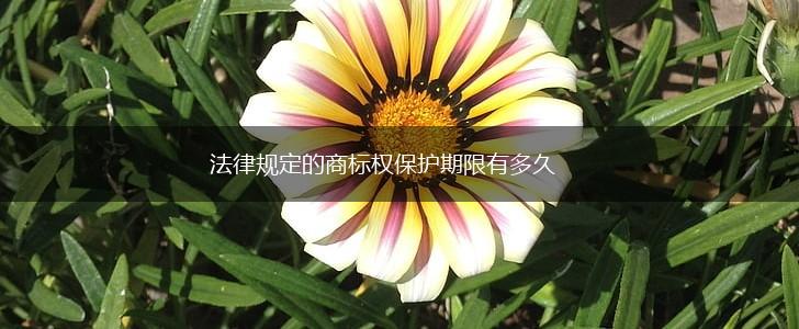 法律规定的商标权保护期限有多久,第1张 法律规定的商标权保护期限有多久,第1张