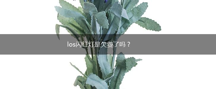 los闪红灯是欠费了吗？,第1张